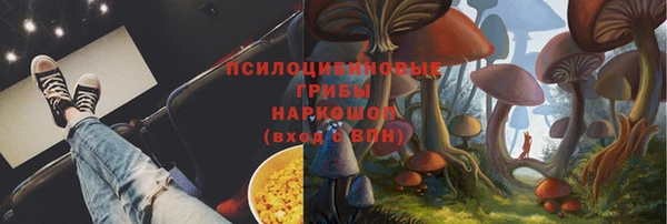 герыч Алексин